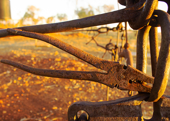 Pliars, Camooweal, Qld
